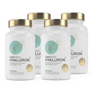 Hyaluronsäure Kapseln Multipack (4 Stück)